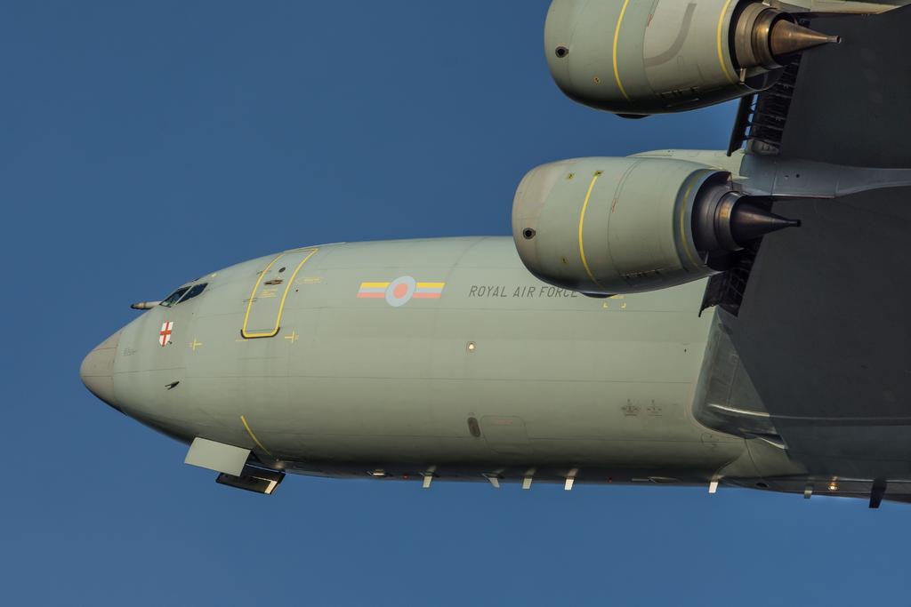 DSC_3299.jpg