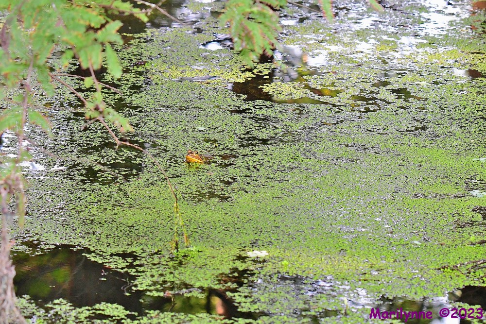 DSC_3300_001.JPG