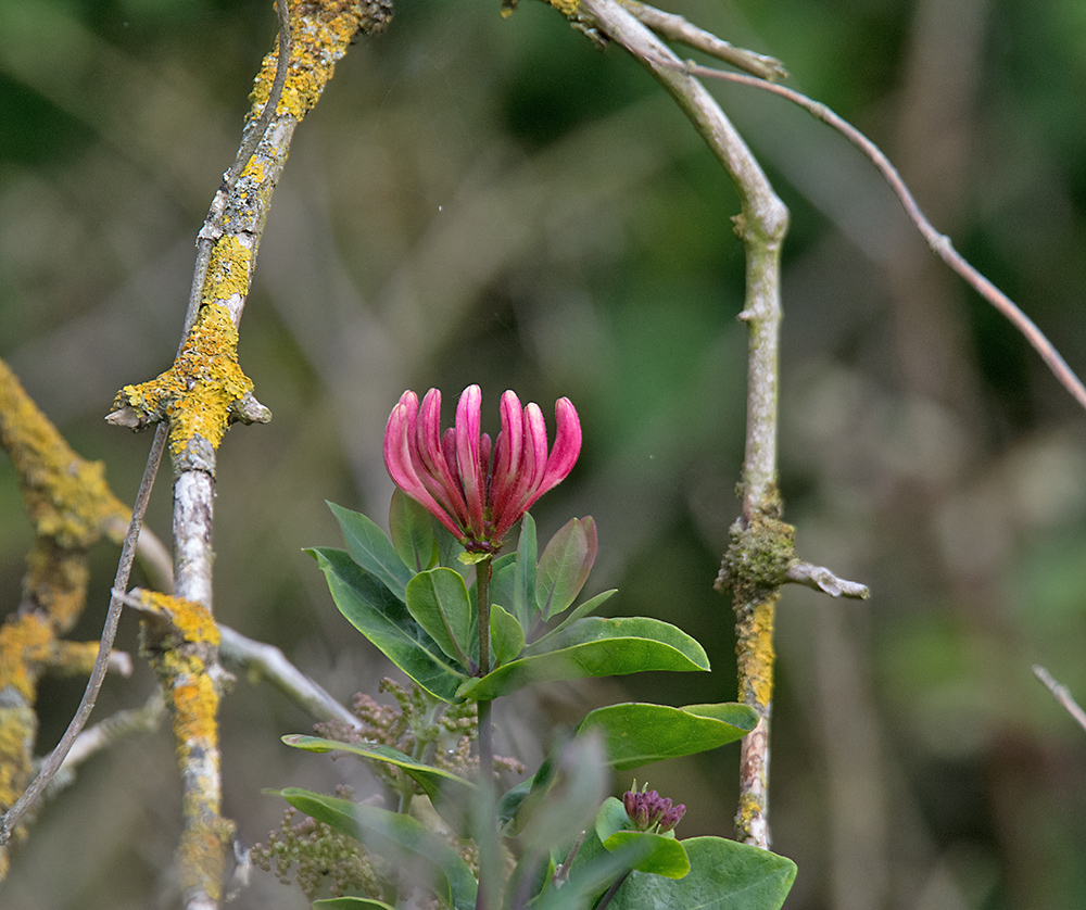 DSC_3301.jpg