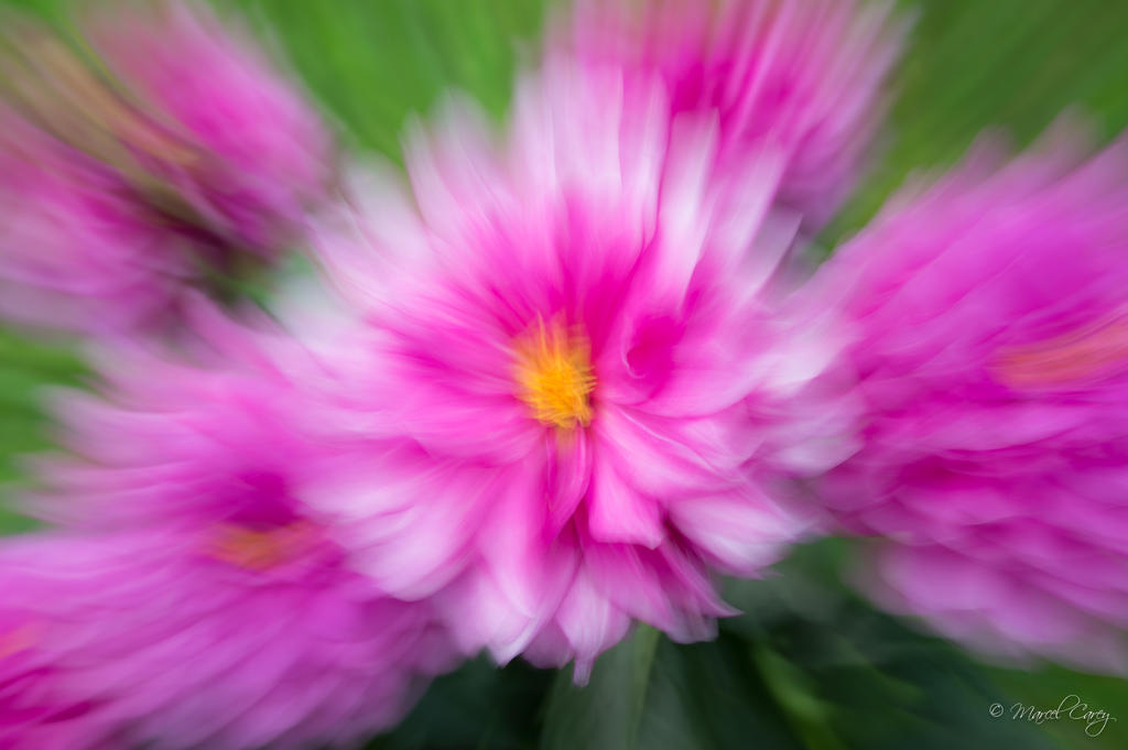 DSC_3301.jpg
