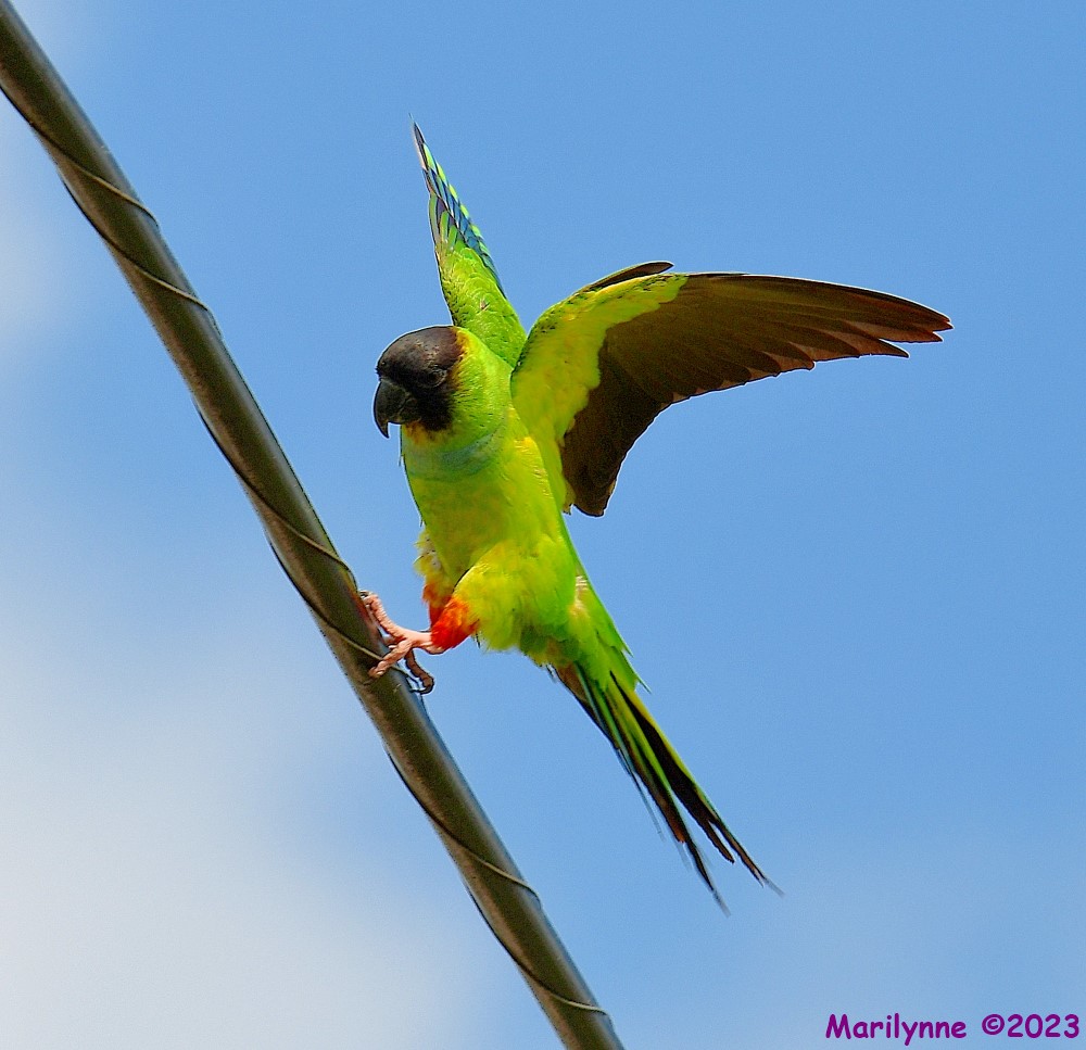 DSC_3301_001.JPG