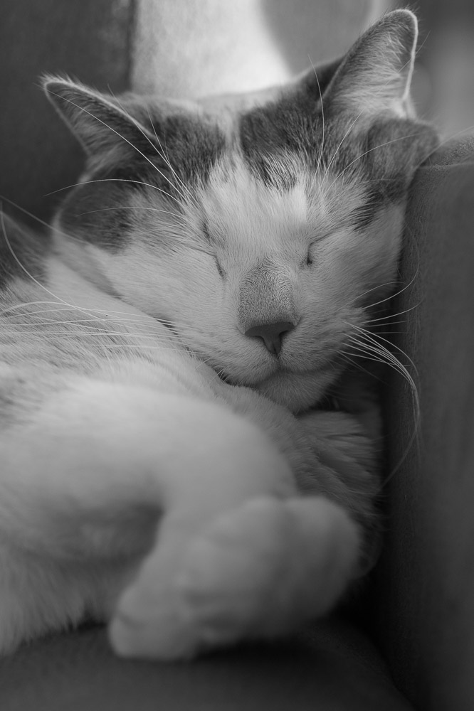 DSC_3302.jpg