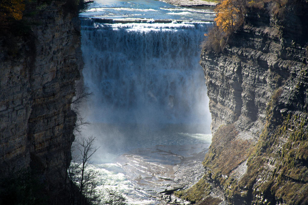 DSC_3306.jpg