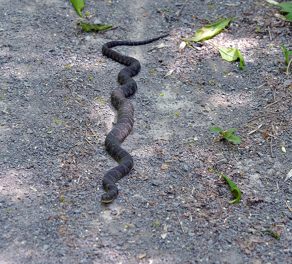 DSC_3309.jpg