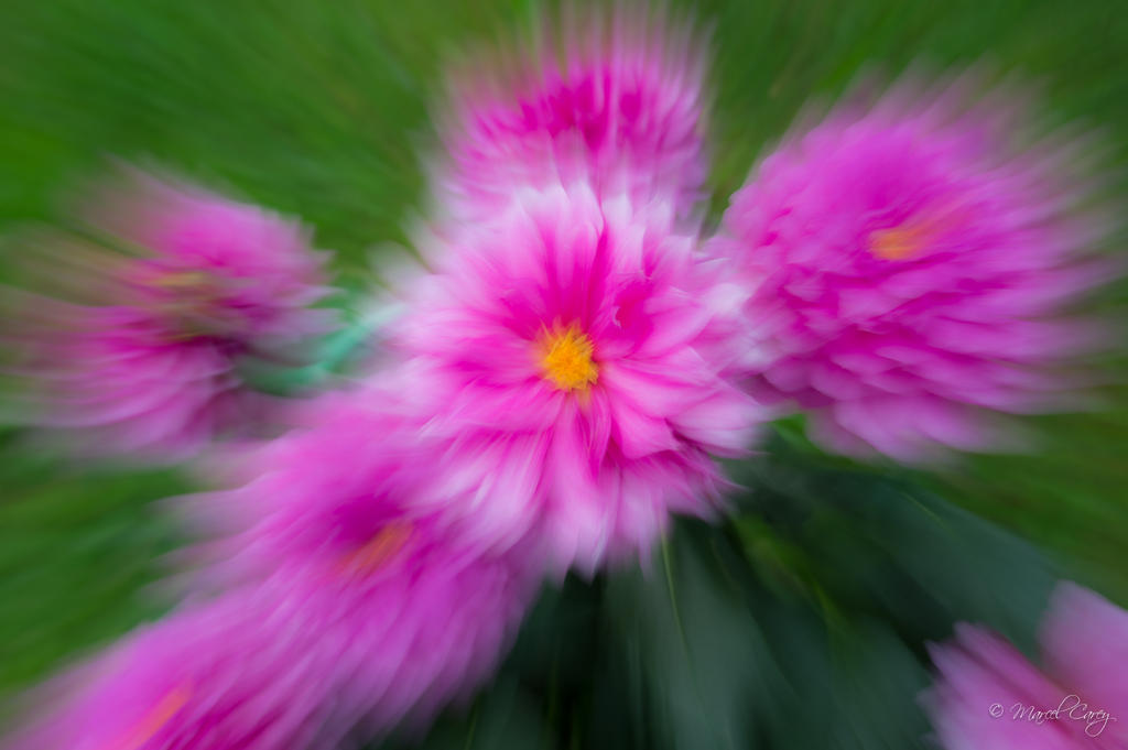 DSC_3314.jpg
