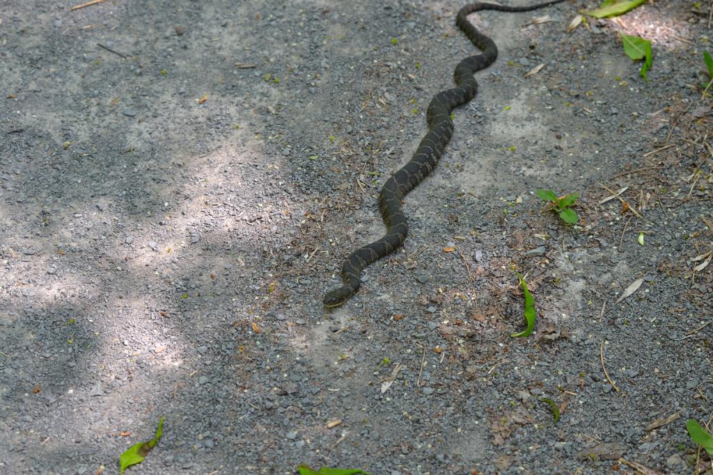 DSC_3314.jpg