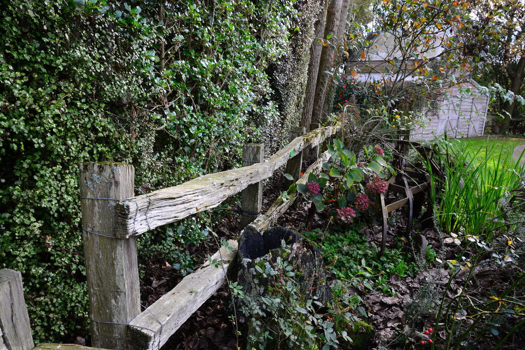 DSC_3315.jpg