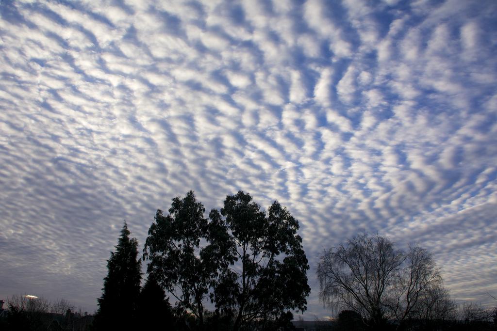 DSC_3317.jpg