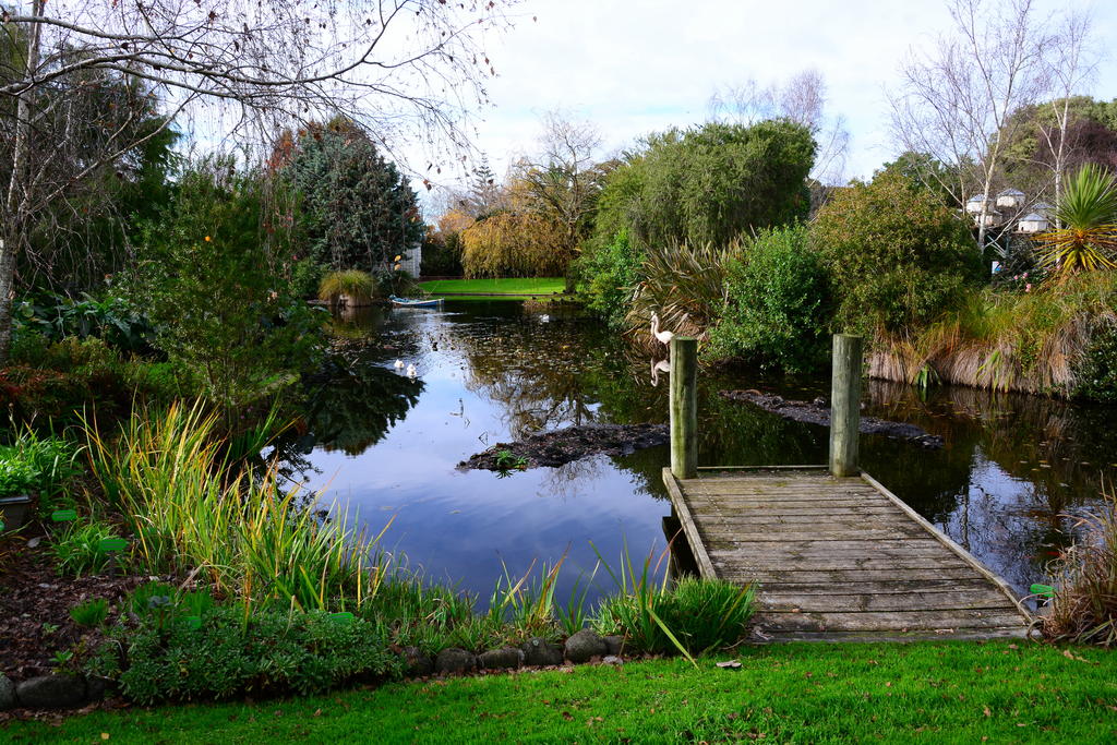 DSC_3318.jpg