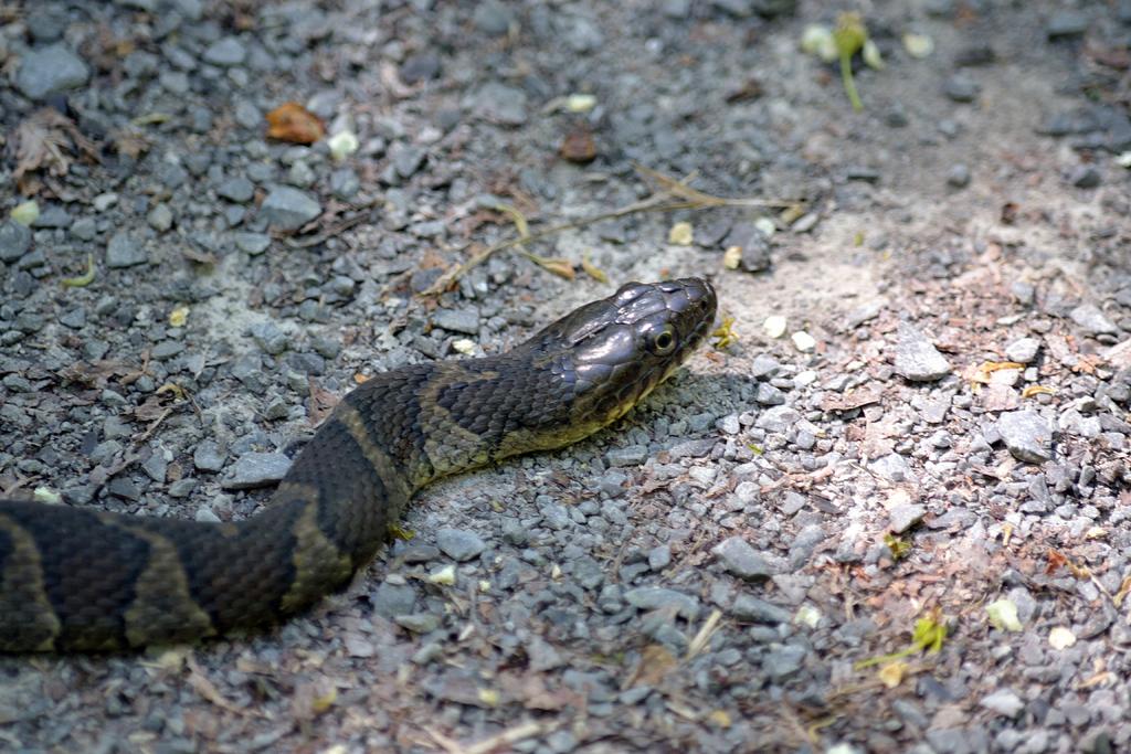 DSC_3318.jpg
