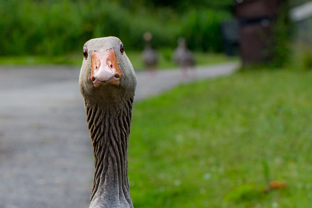 DSC_3319.jpg