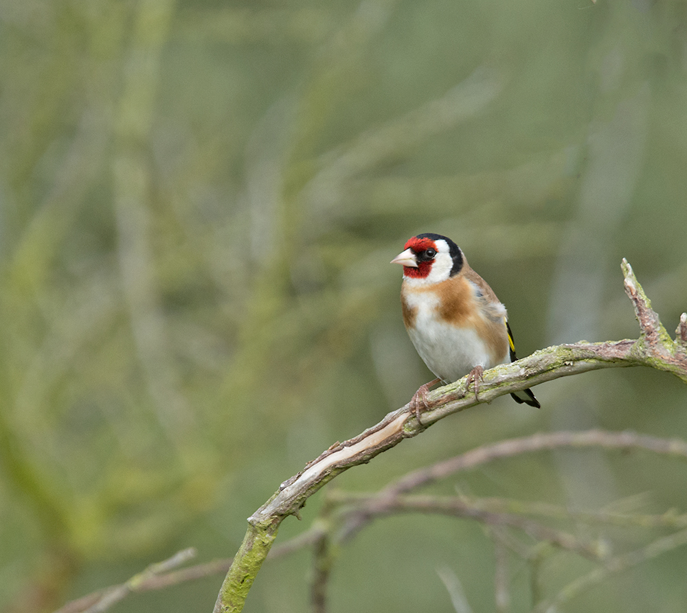 DSC_3320.jpg