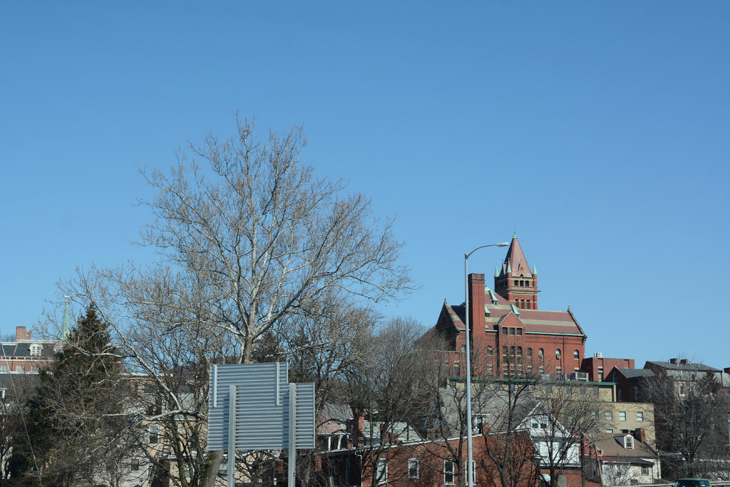DSC_3321.jpg