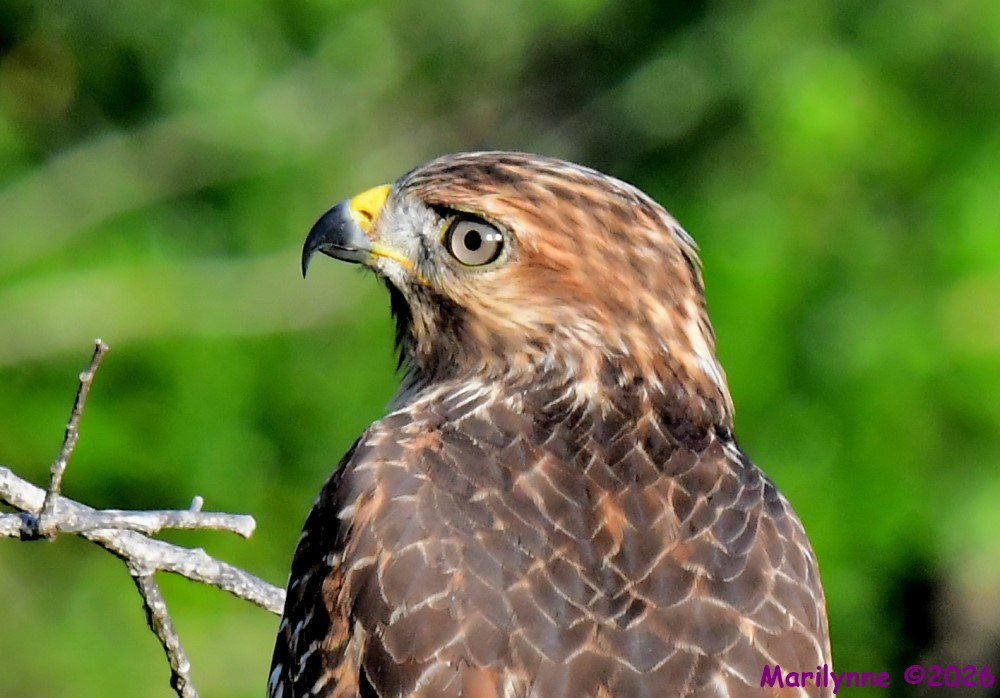 DSC_3325_001.JPG