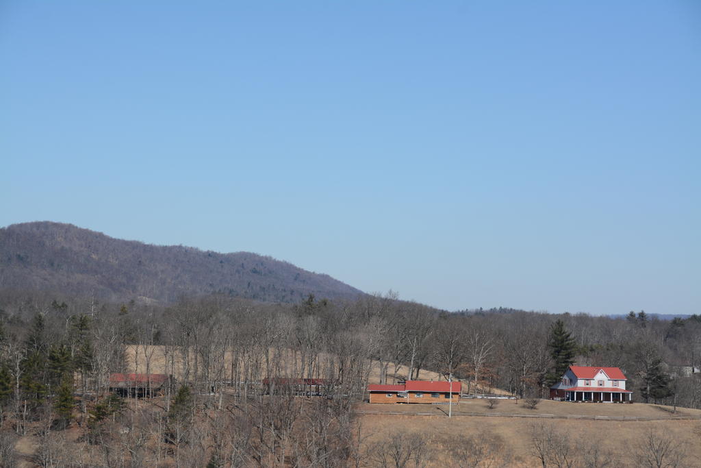 DSC_3329.jpg