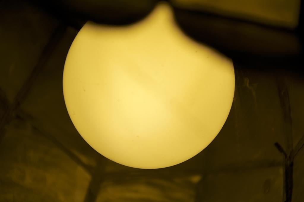 DSC_3330.jpg