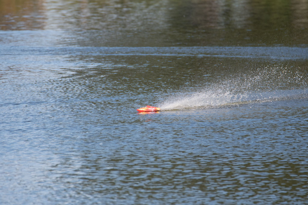DSC_3331.jpg