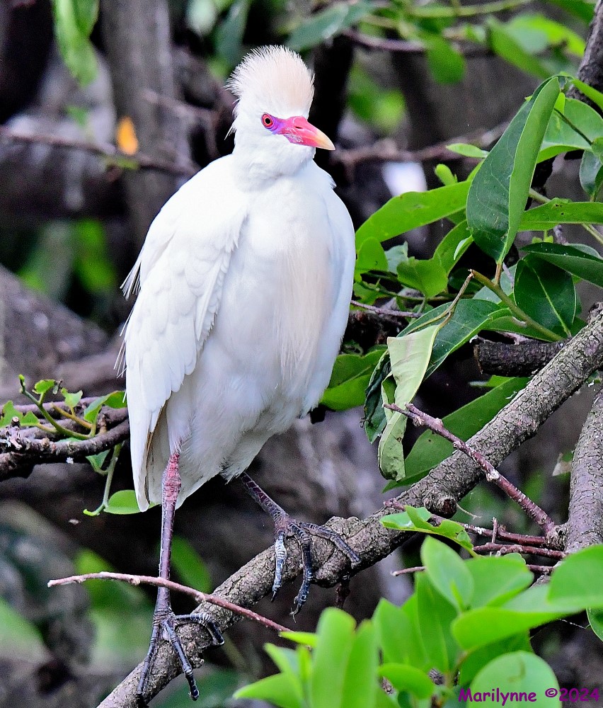 DSC_3337_001.JPG
