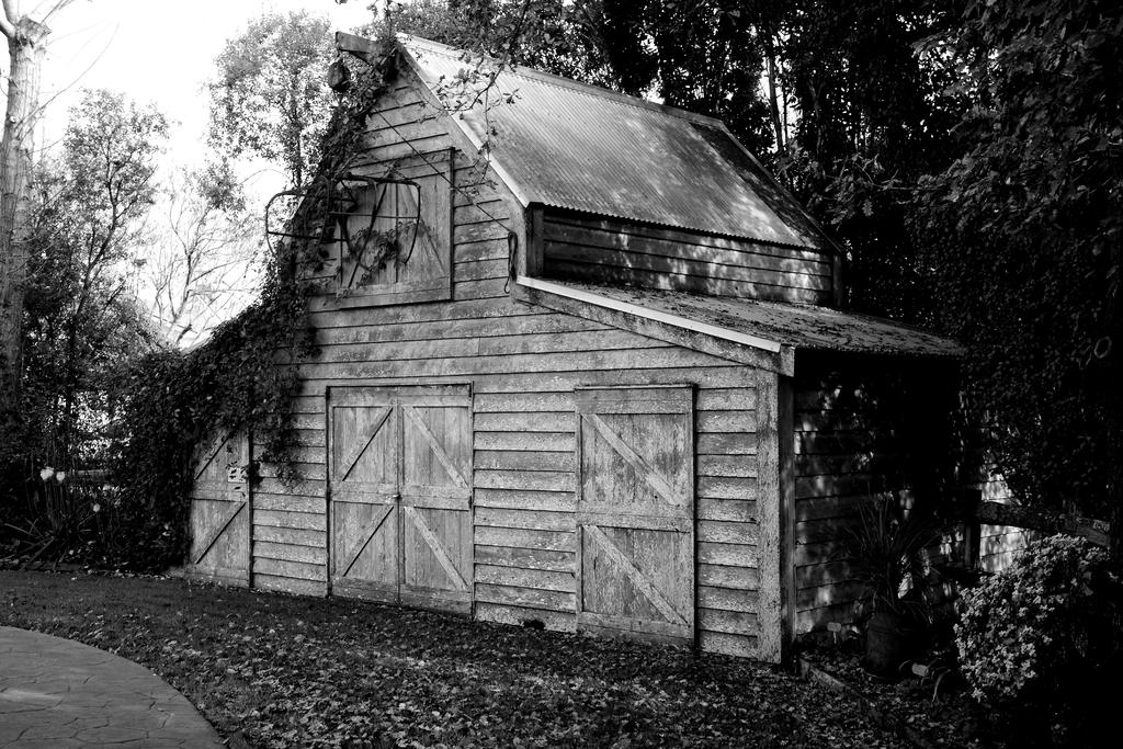 DSC_3338 B&W.jpg