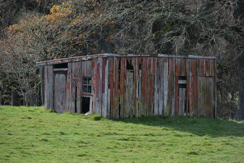 DSC_3338.jpg