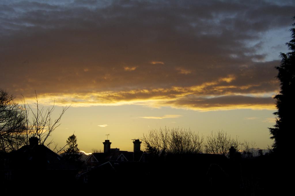 DSC_3343.jpg