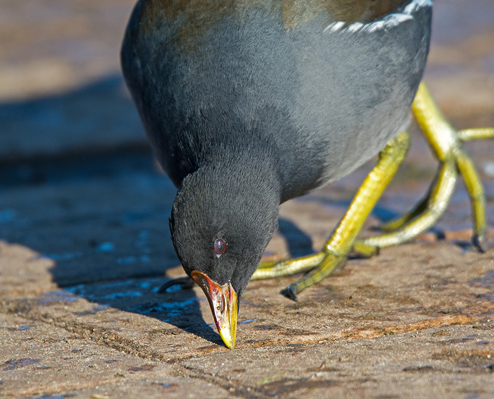 DSC_3344.jpg
