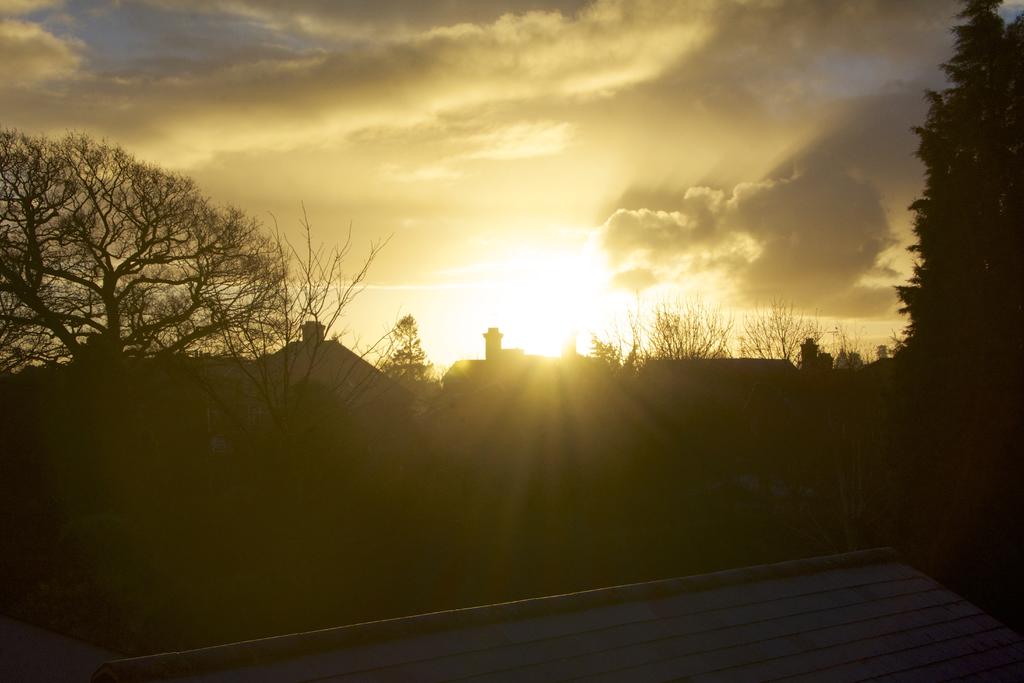 DSC_3345.jpg