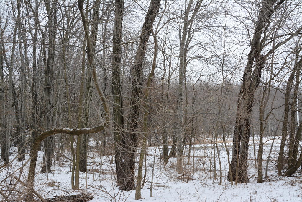 DSC_3350.jpg