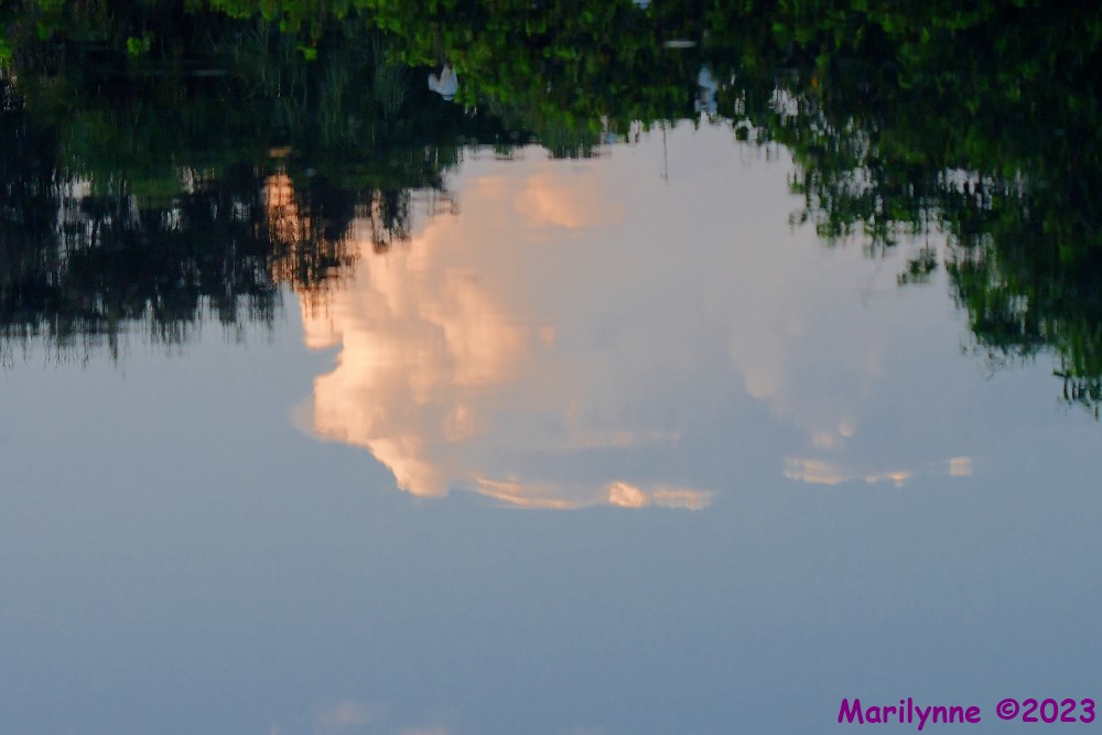 DSC_3350_001.JPG