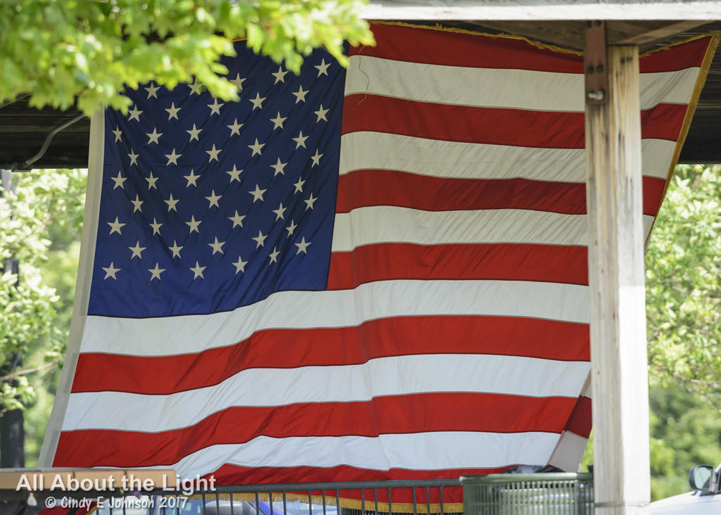 DSC_3352 low res.jpg