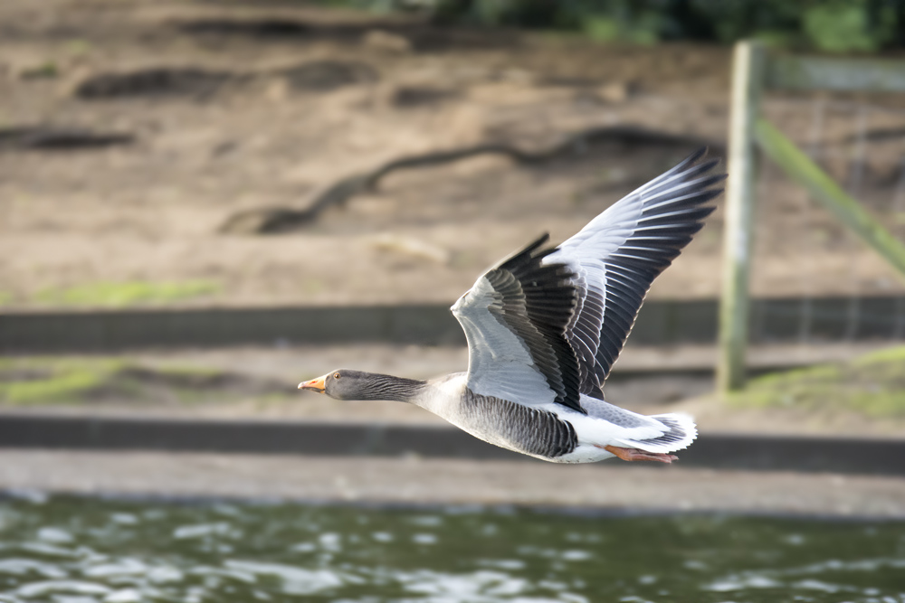 DSC_3354.jpg
