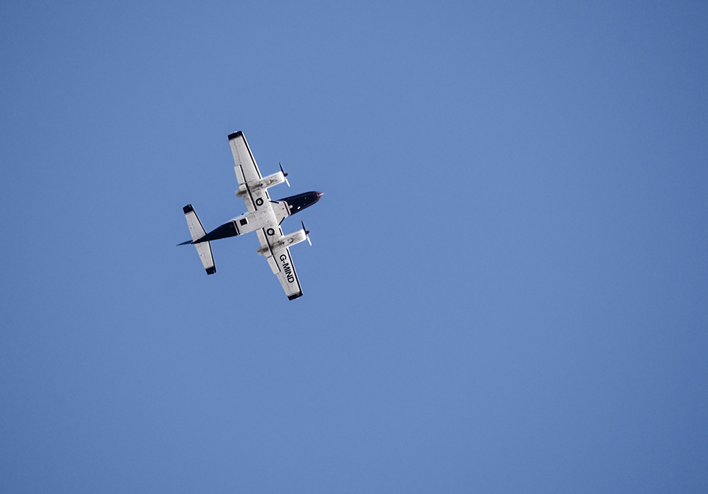 DSC_3356.jpg