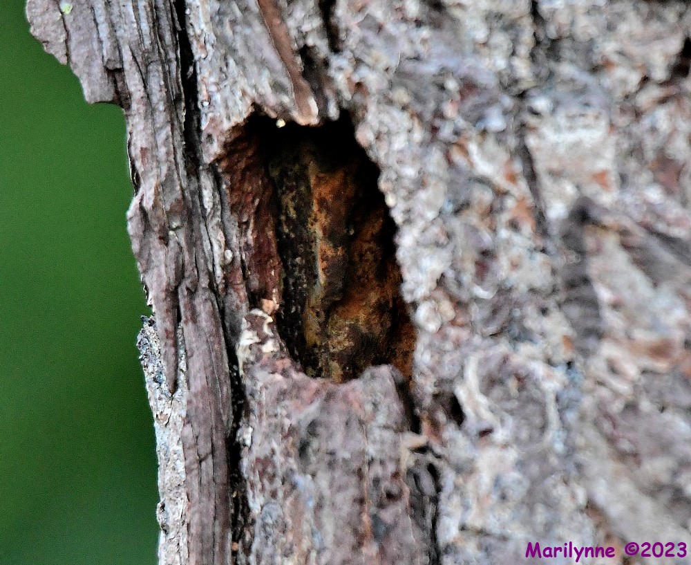 DSC_3359_001.JPG