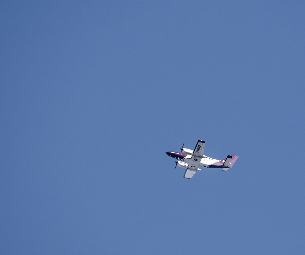 DSC_3360.jpg