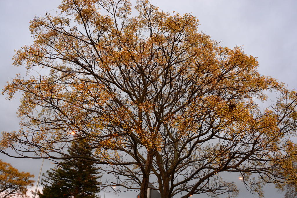 DSC_3360_resize.jpg
