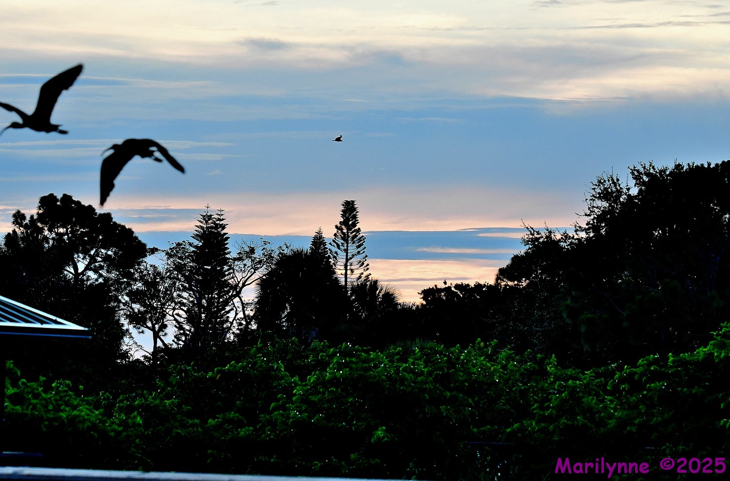 DSC_3367_stitch_001.JPG