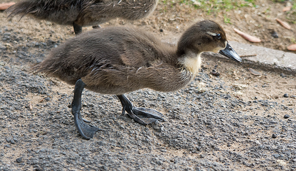 DSC_3368.jpg