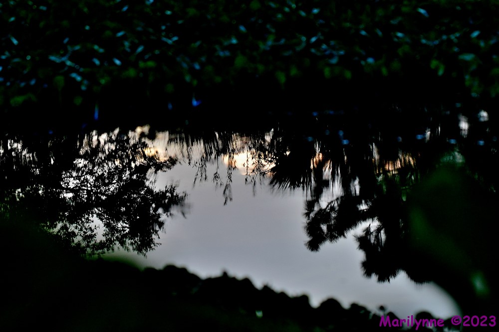 DSC_3369_001.JPG