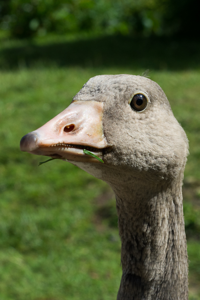 DSC_3374.jpg