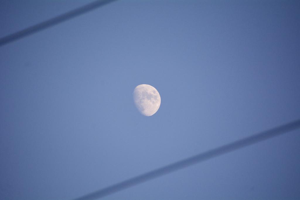 DSC_3376.jpg