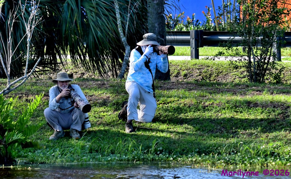 DSC_3377_001.JPG
