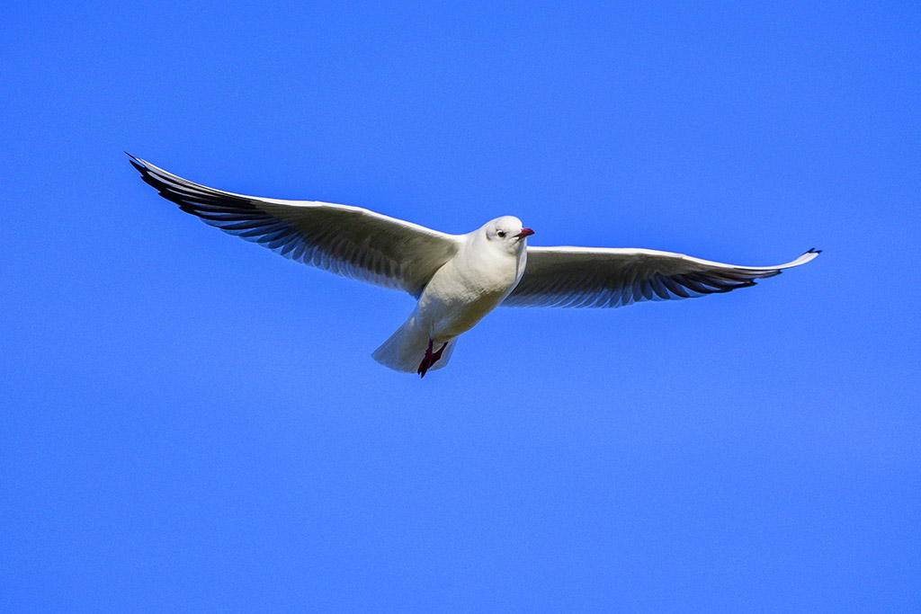 DSC_3378.jpg
