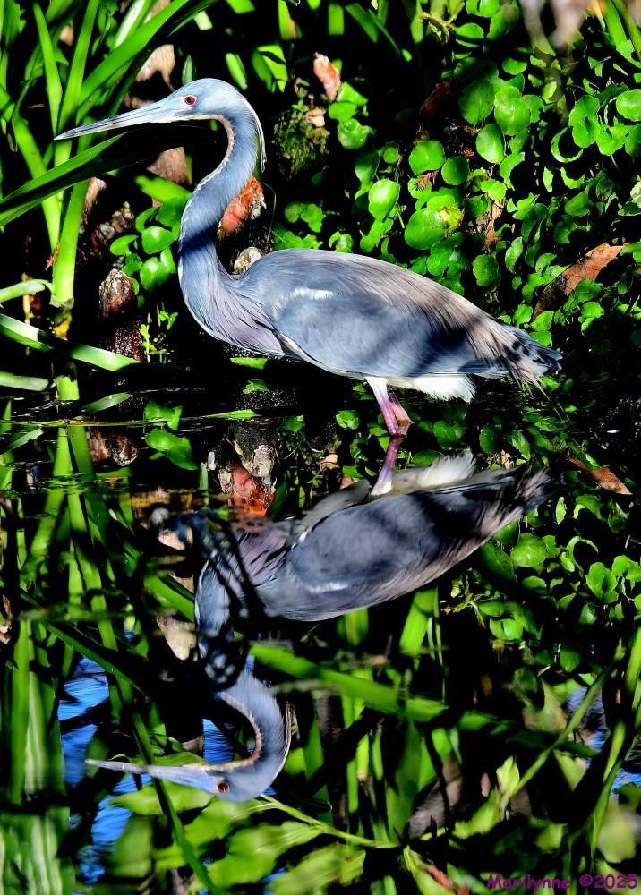 DSC_3378_stitch3_001.JPG