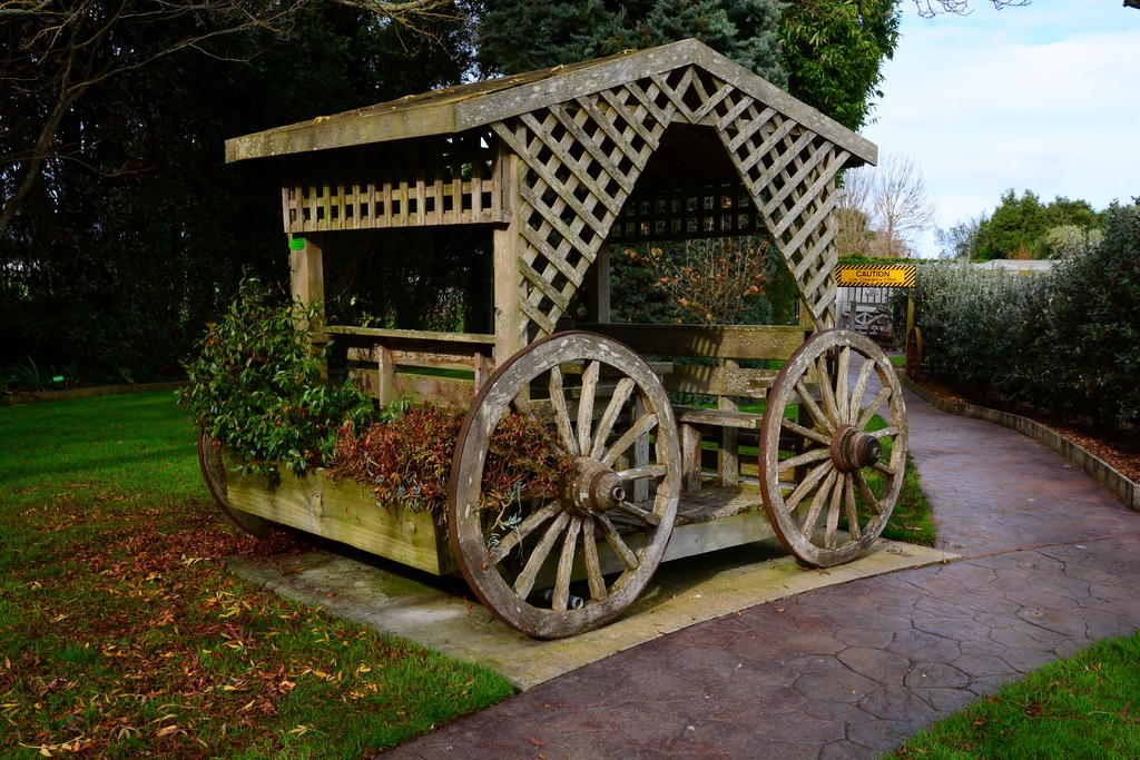 DSC_3381.jpg