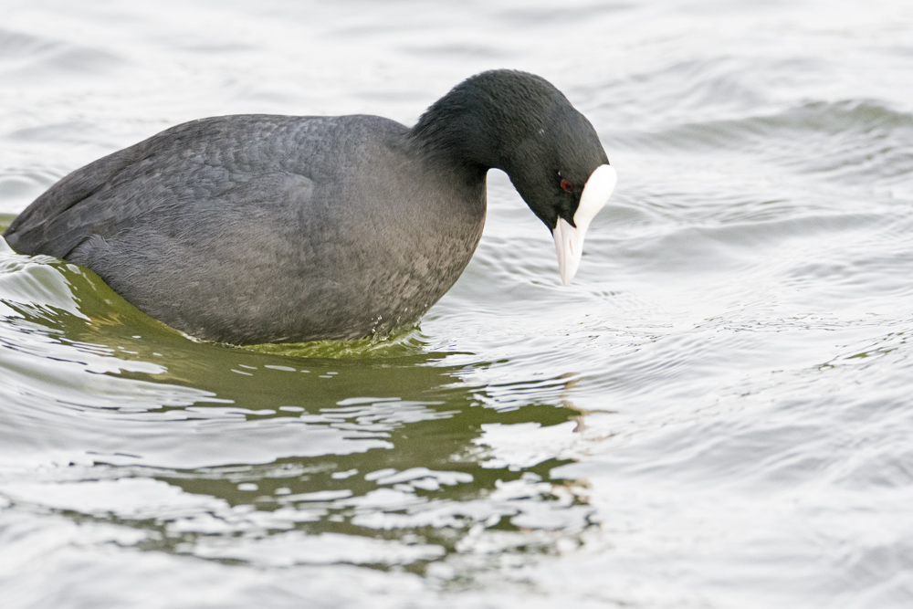 DSC_3383.jpg