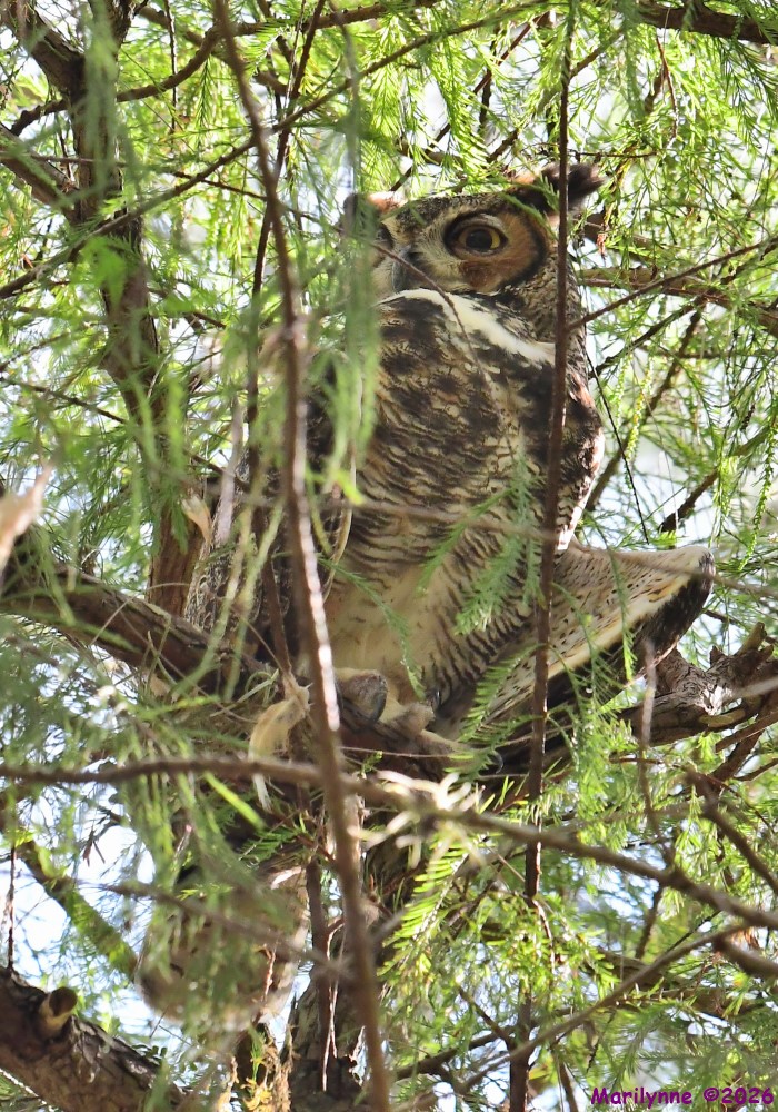 DSC_3385_001.JPG