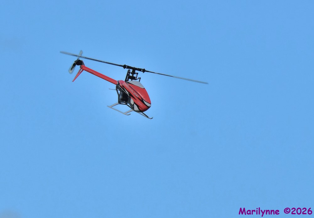 DSC_3388_001.JPG
