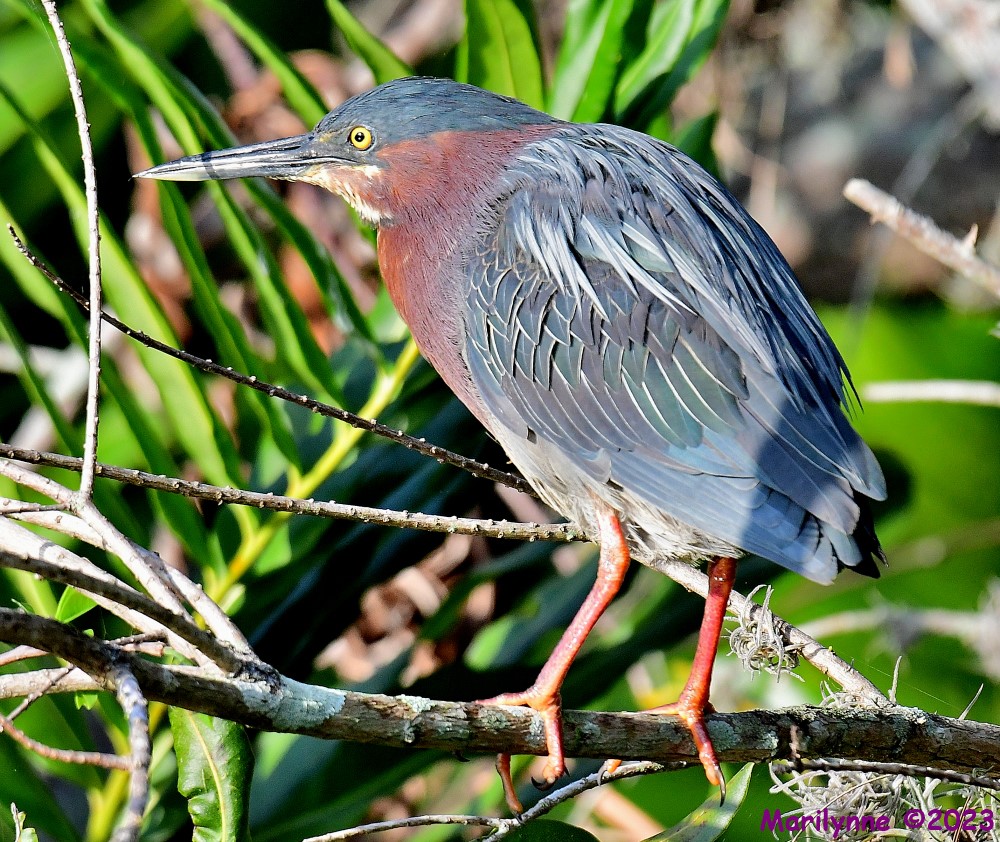 DSC_3389_001.JPG