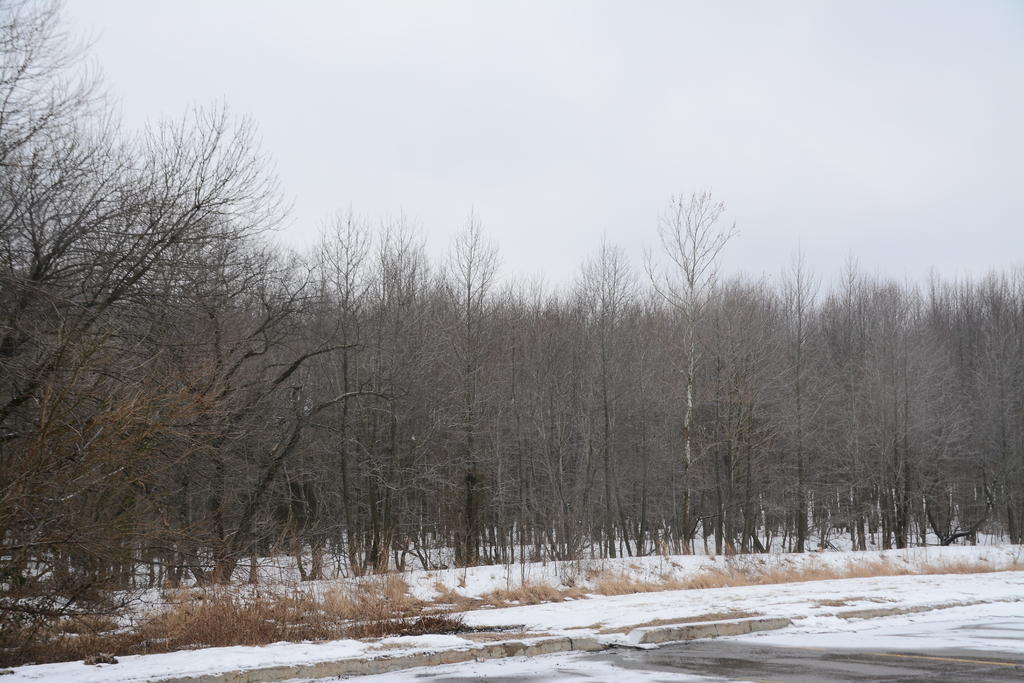DSC_3390.jpg