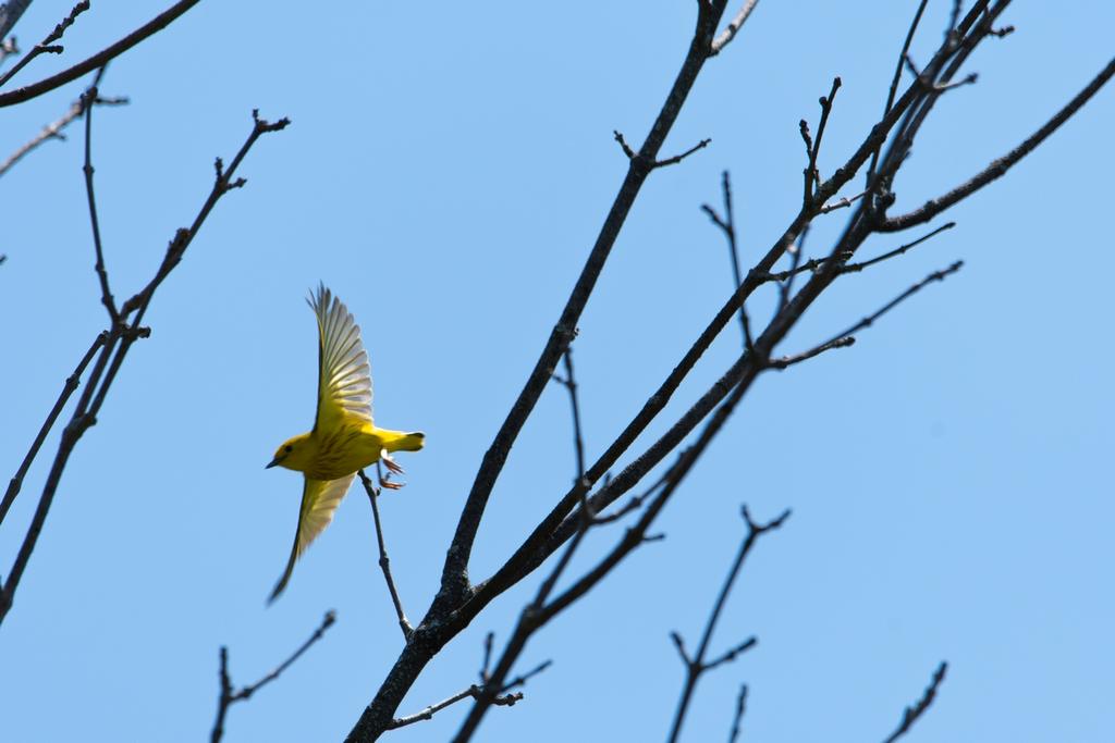 DSC_3392.jpg